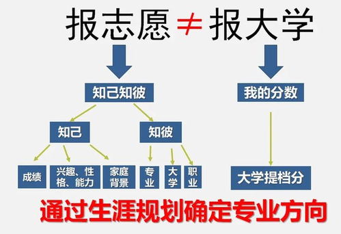 2024年報(bào)考志愿指南 計(jì)算機(jī)專業(yè)就業(yè)方向，鴻蒙開發(fā)與人工智能如何選擇？